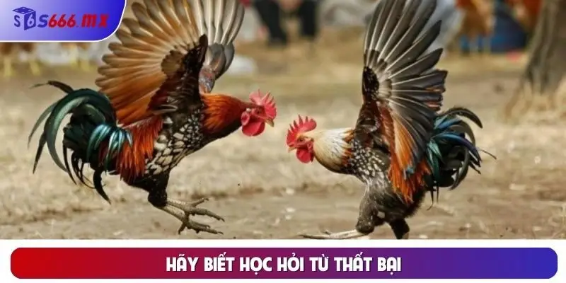 Hãy biết học hỏi từ thất bại