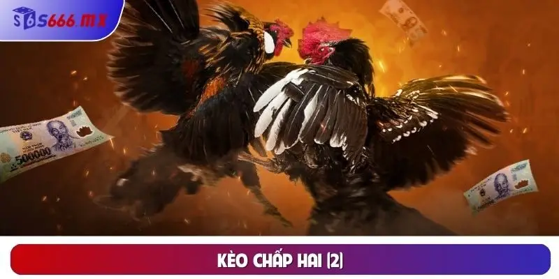 Kèo chấp hai (2)