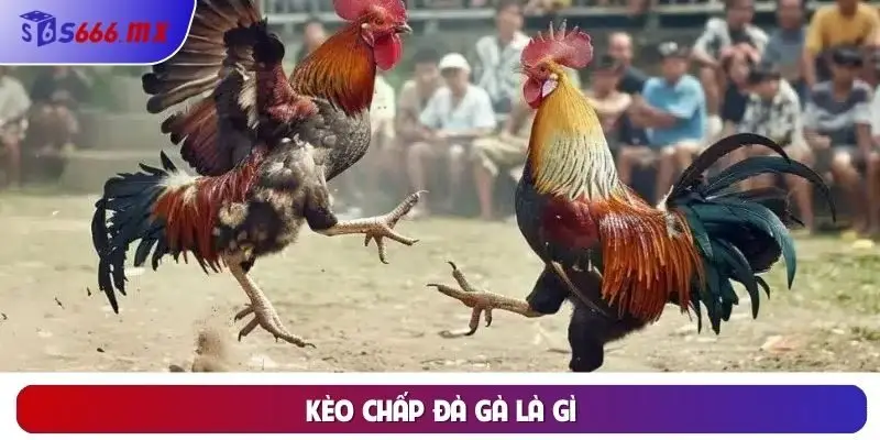 Định nghĩa kèo chấp đà gà là gì?